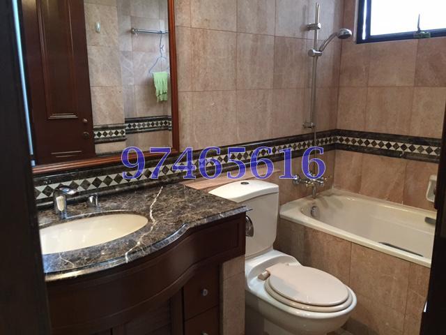 Dover Parkview (D5), Condominium #86009942